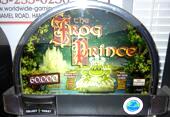 Frog Prince Slot Game