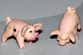 Pig the Dice Game/player