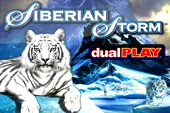 Play Siberian Storm Dual Play
