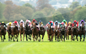 Today's Racing Tips