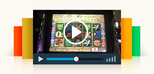 Go Ape Slot Machine Bonus
