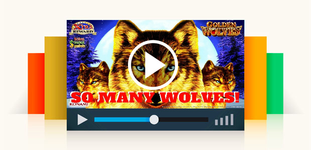 Super Big Win! Golden Wolves Slot Machine Pokie