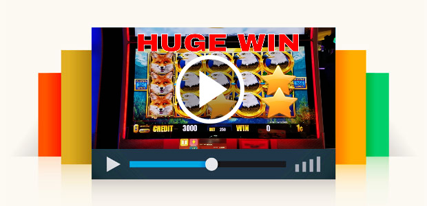 Super Big Win New Slot at Birds of Pay Slot Machine 9
