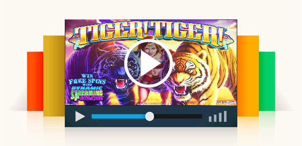 Tiger Tiger Slot Machine, Dbg