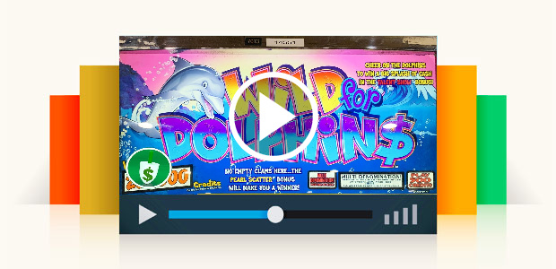 Wild for Dolphins Slot Machine, Bonus