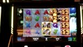 Big 5 Safari Slot Machine Live Play W/max Bet