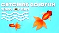Cat Games Fish - Catching Goldfish! Fish Video for Cats to