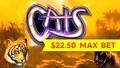 Cats Slot - Better Than Jackpot - $22.50 Max Bet!