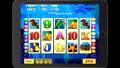Dolphin Treasure Video Slot Game with a