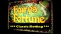 Fairy's Fortune! Classic Wms Gaming Slot!