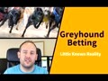 Greyhound Betting: Little Known Reality
