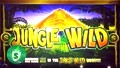 Jungle Wild Classic Slot Machine, Bonus