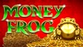 Money Frog Slot - Nice Session, All Features!