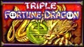 Triple Dragon Fortune Vlog Flying Home ✈️ the Slot Cats