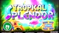 Tropical Splendor Slot Machine
