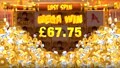 Wild Fight Slot - Big Win - Red Tiger Gaming