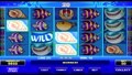 Wild Shark Slots - Bitcoin Casino Games