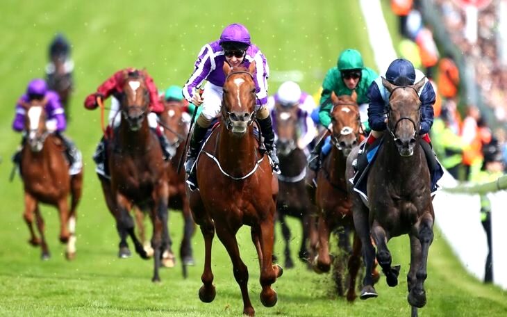 Best Uk Horse Racing App