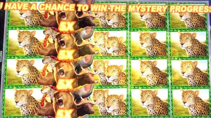 Big 5 Safari Slot