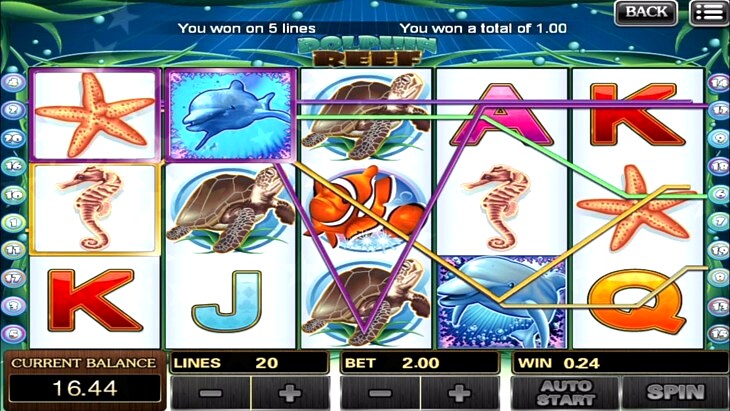 Slot Free Game Dolphin Reef