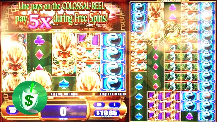 The new Casino slot football slot machine games games Respond to Book