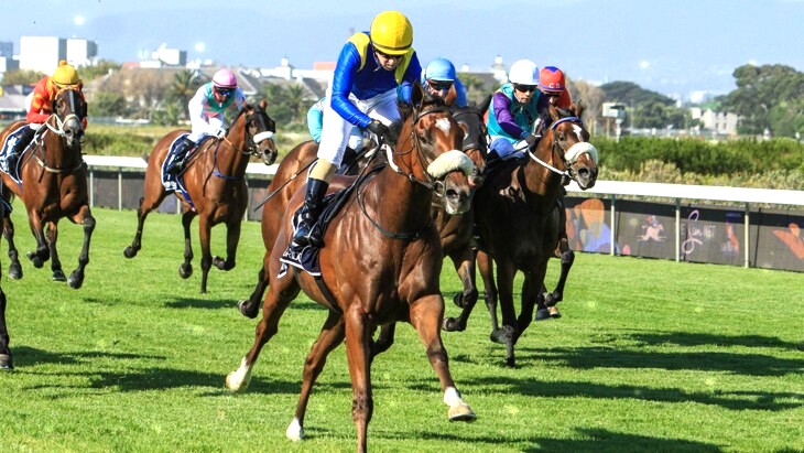 Horse Racing in South Africa