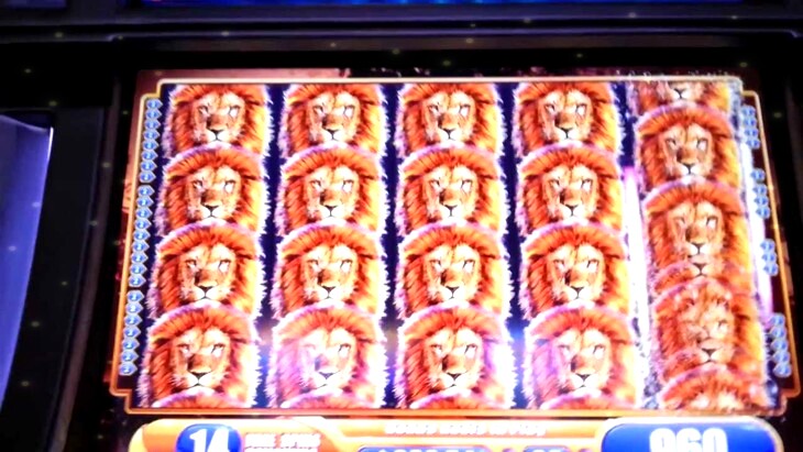 King of Africa Slot Machine
