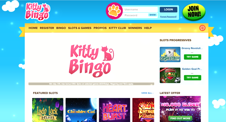 Kitty Bingo Free Spins Code