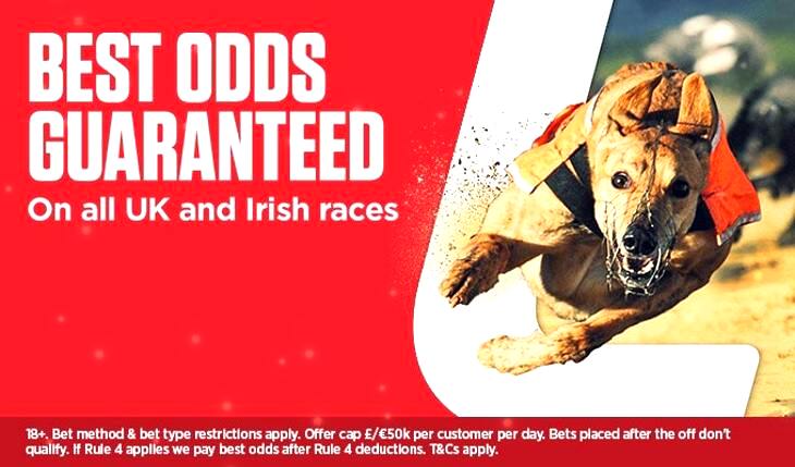 Live Greyhound Betting