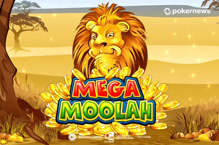 Mega Moolah Slot Machine