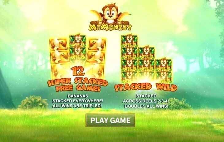 Mr. Monkey Online Slot