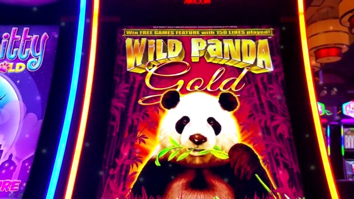 Panda Gold Slot Machine
