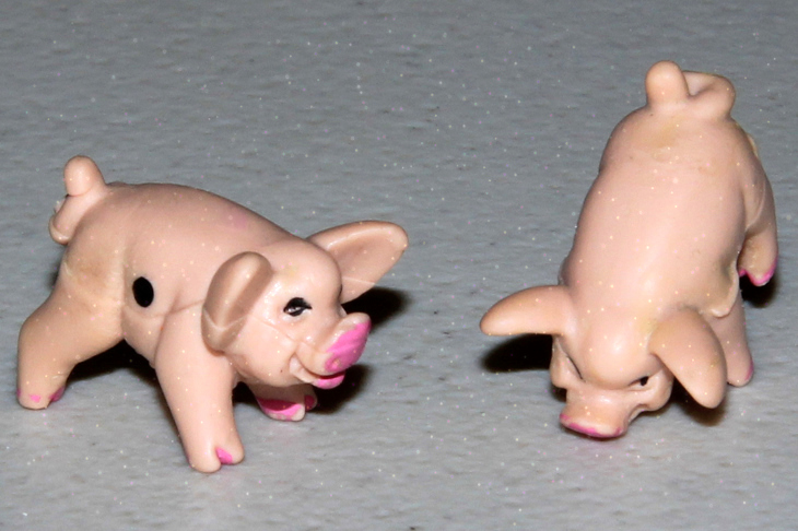 Pig the Dice Game