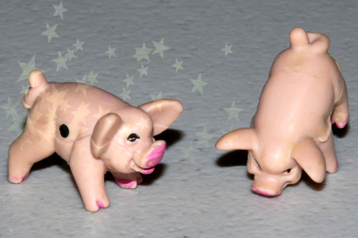 Pig the Dice Game/player