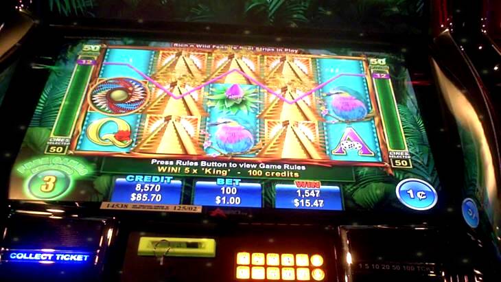 Rich N Wild Slot Machine