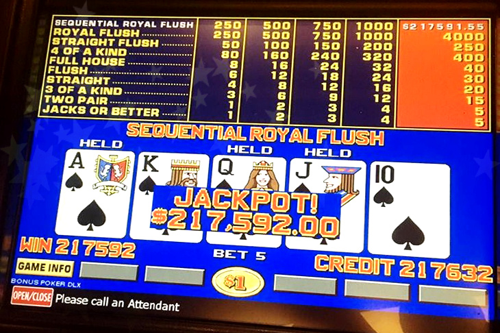 Showboat Becomes First Atlantic City Casino To Adopt A Pet Casino