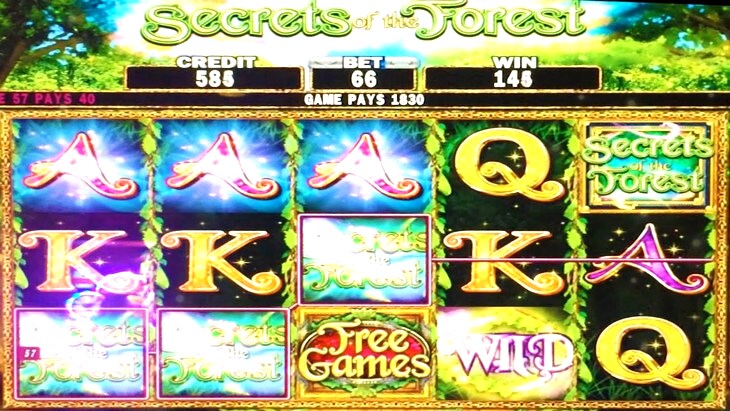 secret of the forest slot machine