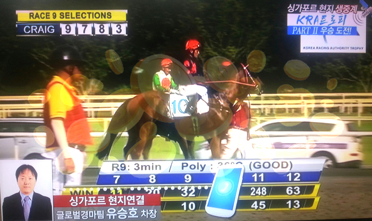 Singapore Horse Racing Live