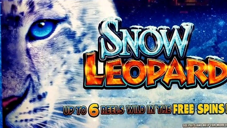 Snow Leopard Slots