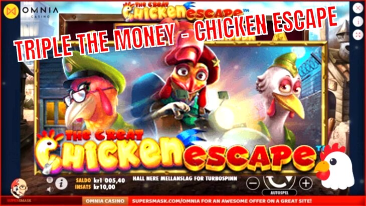 The Great Chicken Escape