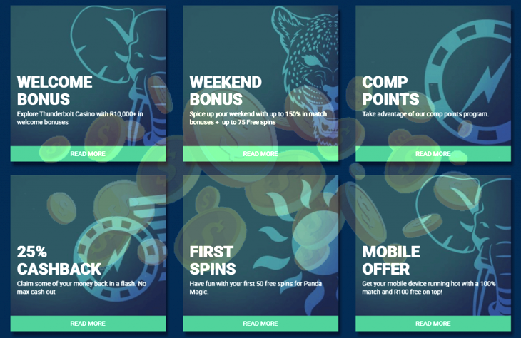 Springbok Casino App Download