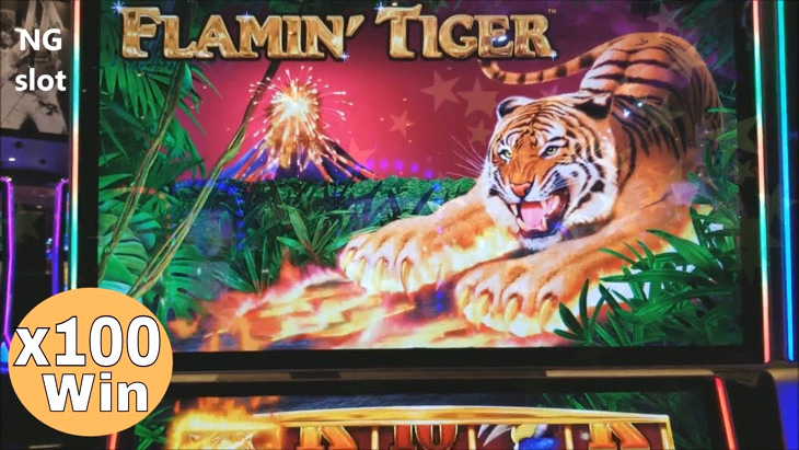 Tiger and Dragon Slot